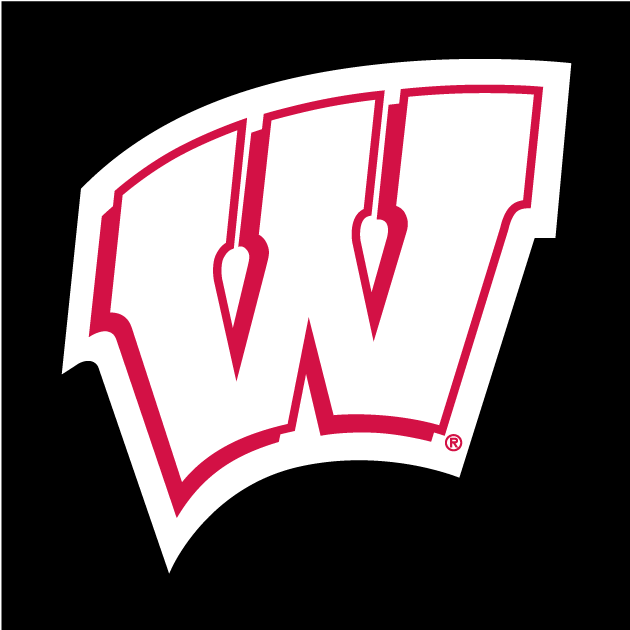 Wisconsin Badgers 1991-Pres Alternate Logo t shirts DIY iron ons
